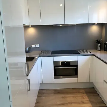 Casa Del Cisne 2 * Zandvoort