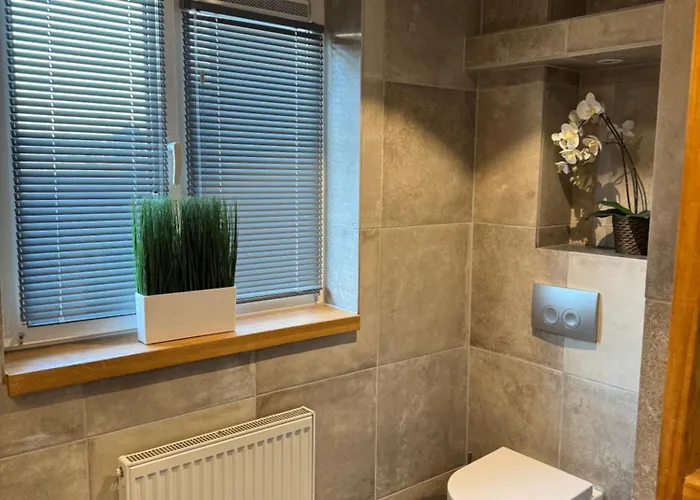 Apartamento Casa Del Cisne 2 Zandvoort