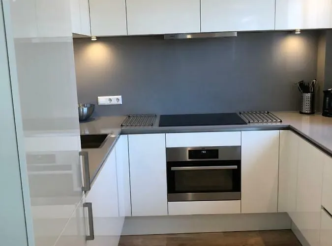 Casa Del Cisne 2 * Zandvoort