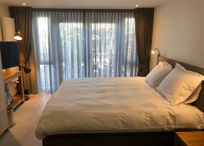 Casa Del Cisne 2 Apartment Zandvoort